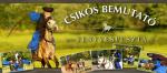 21f9-csikos-bemutato-fenyvespuszta-2013.jpg