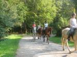 352d-img_8001.jpg