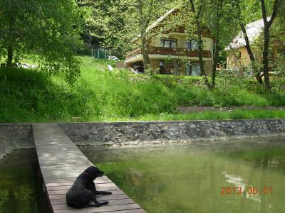 5f29-orfu-toparti-vendeghaz-1.jpg