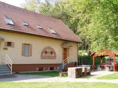 7d18-silvert4.jpg