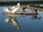 ba91-dscf2840.jpg