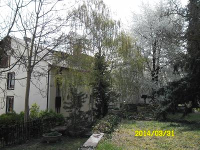 df98-hotel-alba-heviz-kulso-4.jpg